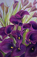 Callas in Violet-1