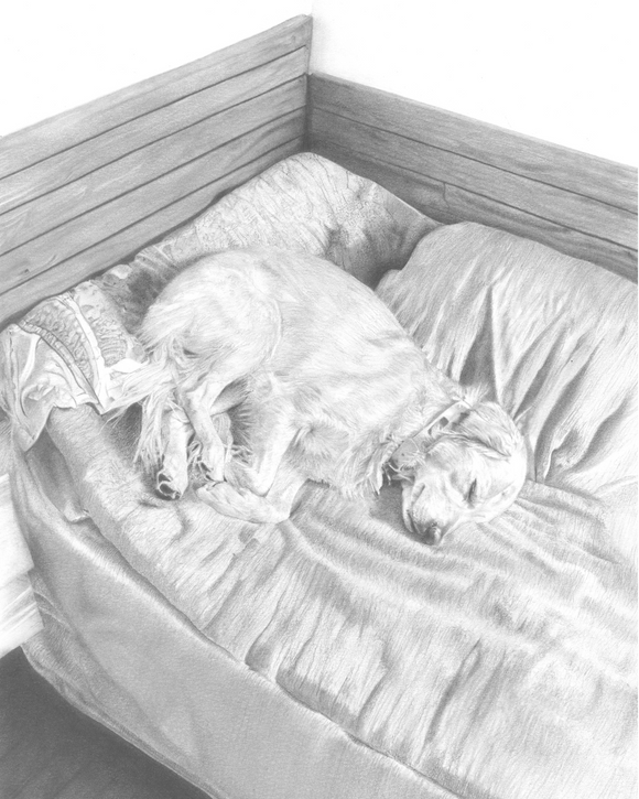 Sleeping Angel