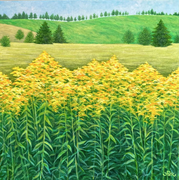 Late Summer Yellow