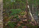Crawford Lake-1
