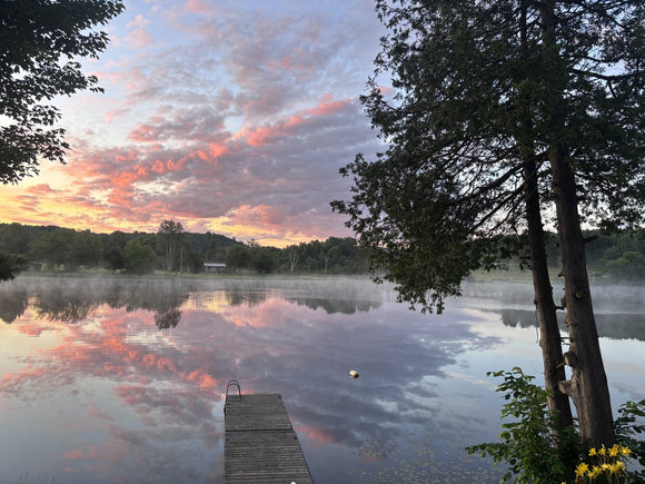 Morning Glow