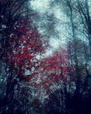 West 10th series-1
