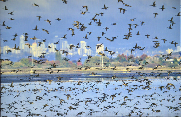 Delta Flock