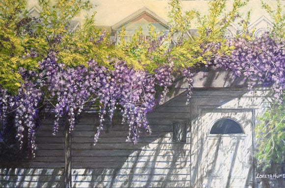 Wisteria Summer Bloom