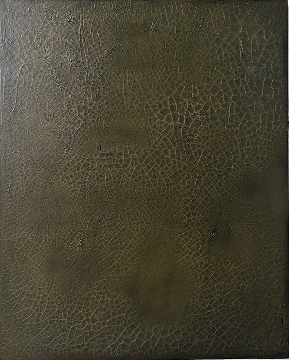 Study No. 19