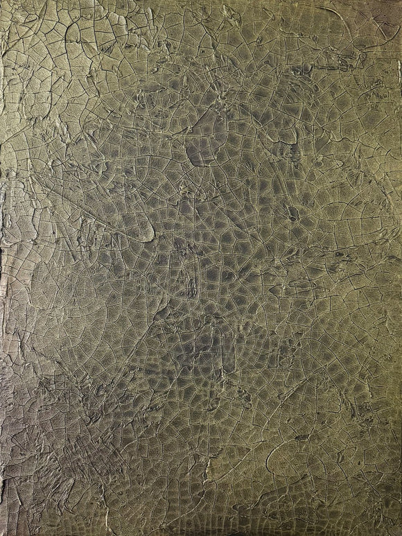 Study No. 14