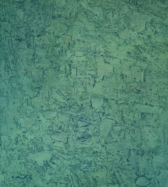 Study No. 24