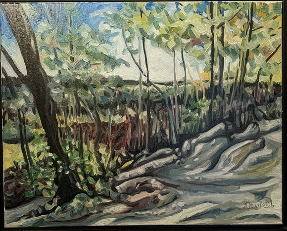 Early Snow, Bruce Trail, Halton Hills