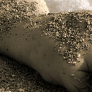 Skin, stone and Water-1