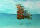 Aloha-1