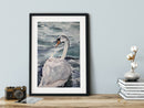 Swan lake-3