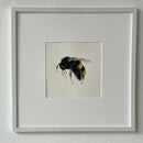 Small Bee-2