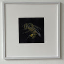Honey Bee-2