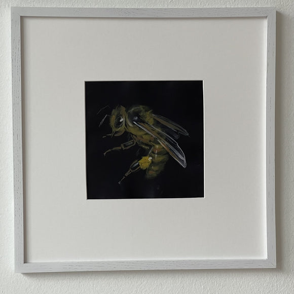 Honey Bee