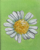 Flowers-2