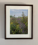 Wild Grape and Asters-2