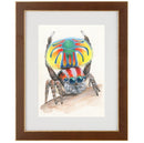 Peacock Spider (Volans)-2