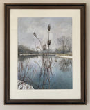 Wild Carrot in Winter-2