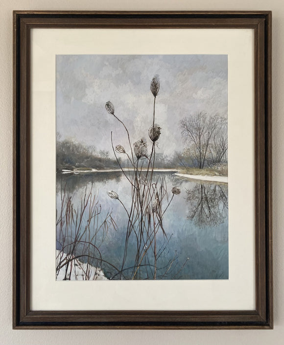 Wild Carrot in Winter