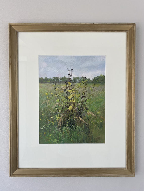 Spent Sunflowers, Rainy Day