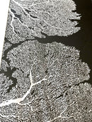 Historia Del Mar II-2