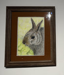 The Bunny-3