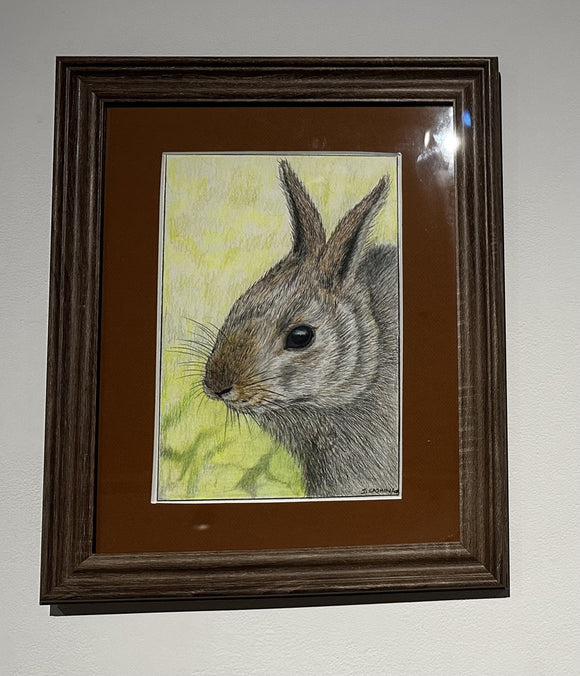 The Bunny