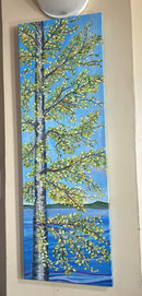 Birch N’ Blue-2