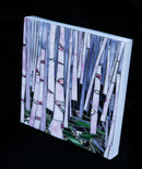 Rose Birch-2