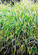 Impenetrable Undergrowth-2