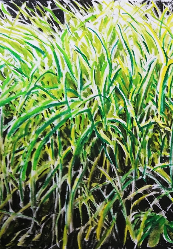 Impenetrable Undergrowth