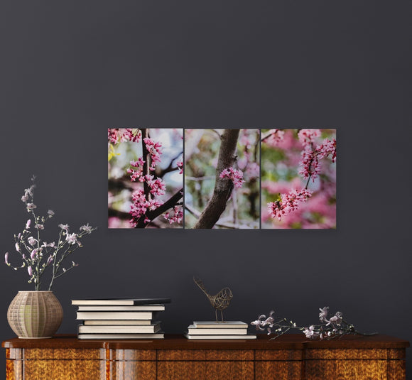 Redbud Trio