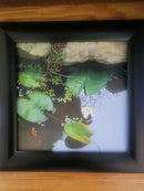 Pond Life-2