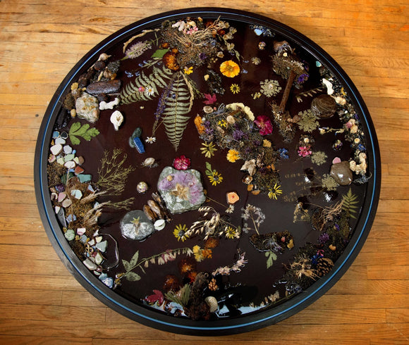 I SPY,  Terraforming (2024)