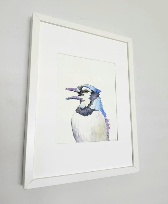 Blue Jay portrait