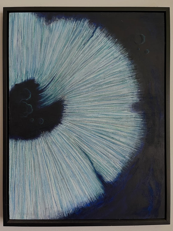 Spore #2