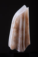 Morning Glory-2