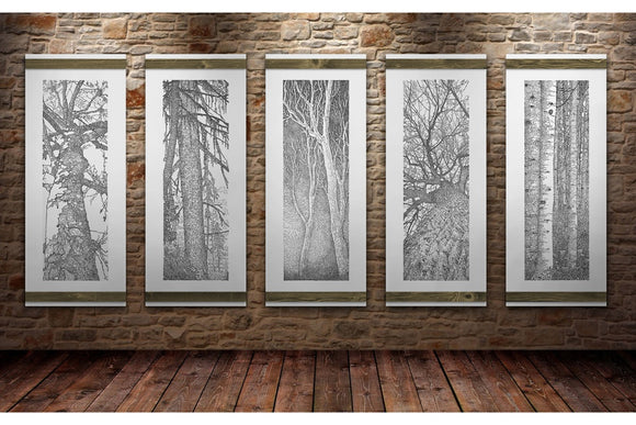 Forest for the Trees 3/5