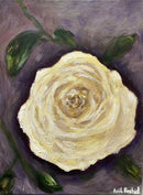 White Rose-1