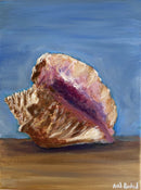 Conch Shell Study-1