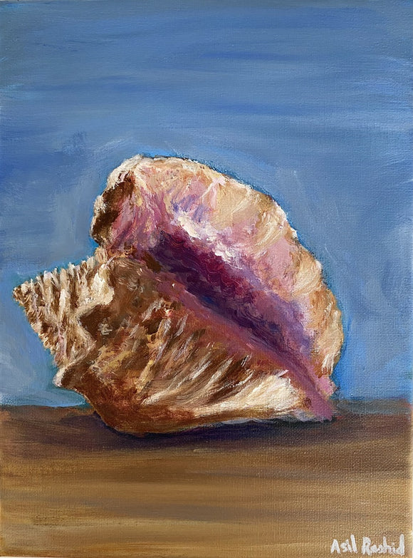 Conch Shell Study