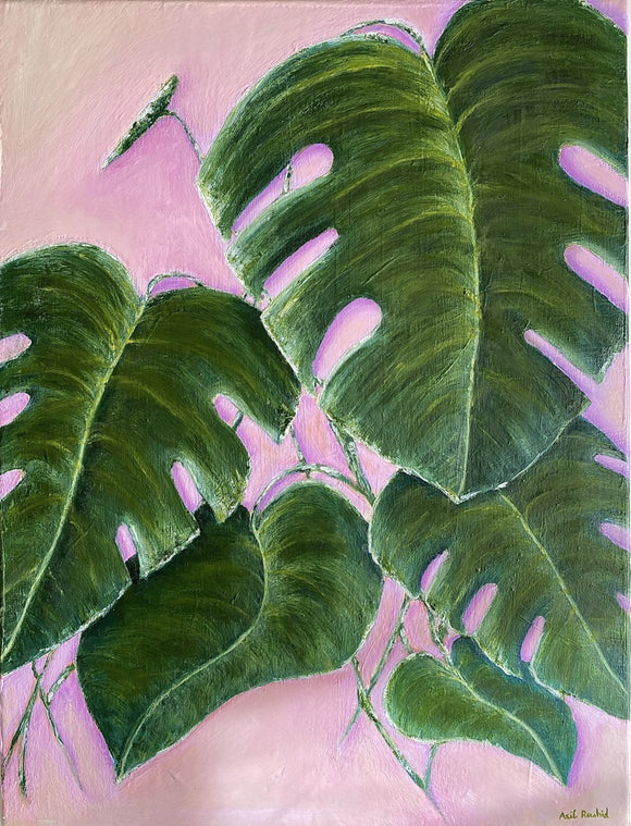 Monstera on Pink