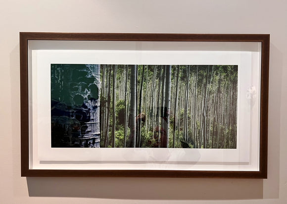Aspens
