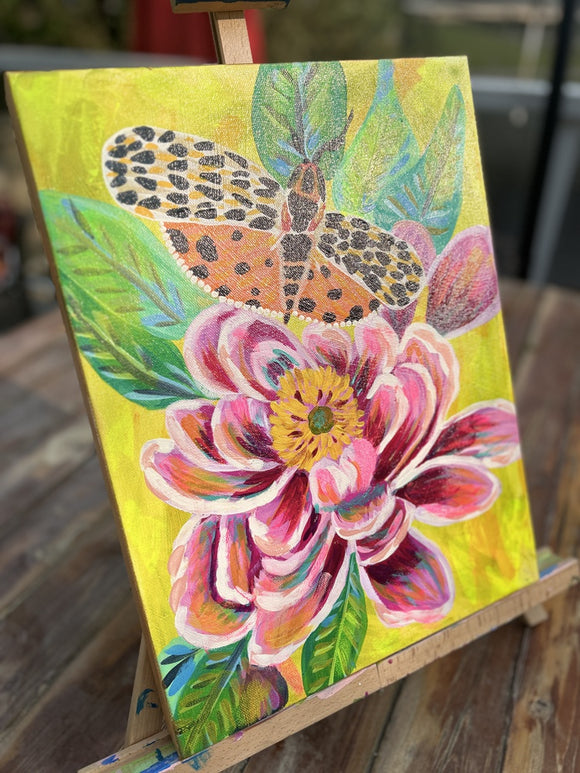 Butterfly Free