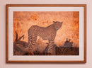 Cheetah at Sunset-2
