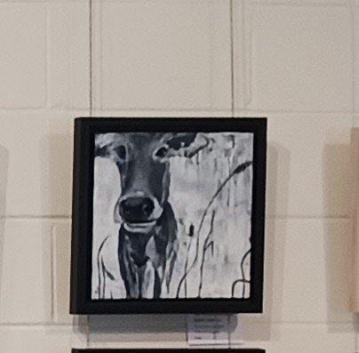 Happy Cow