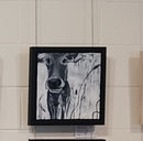 Happy Cow-2