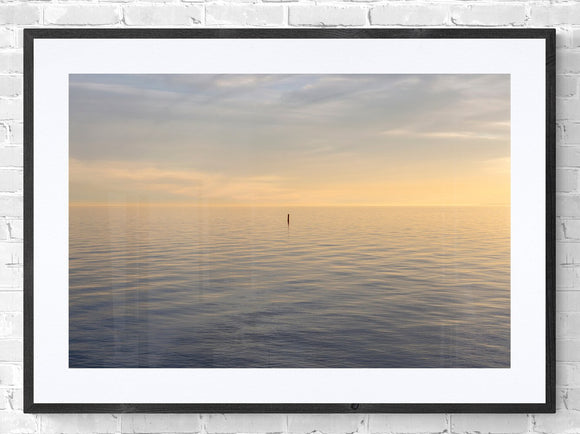 Tommy Thompson Park No2