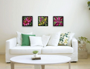 Purple Coneflower-2