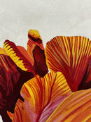 Parrot Tulip 3-2